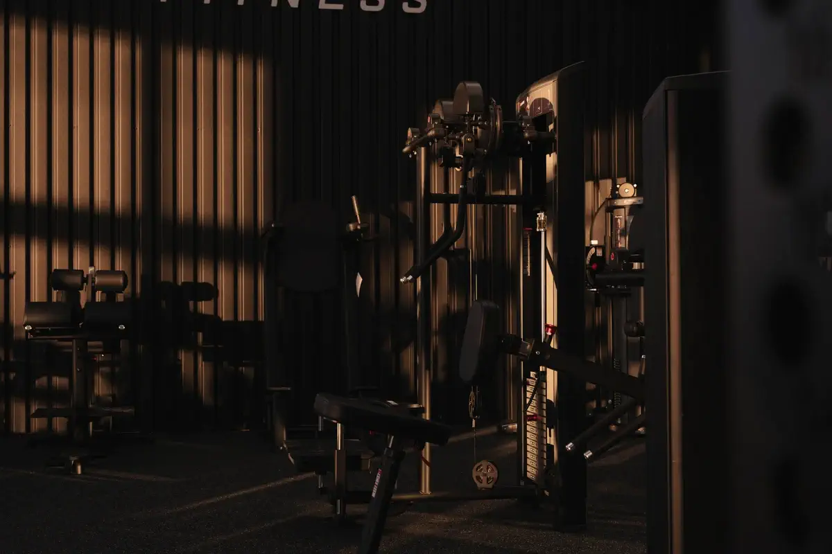 Zone d’entraînement Apte Fitness